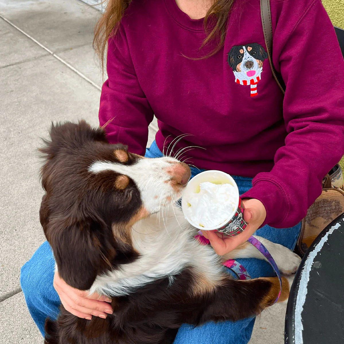 🐶🐱Custom Embroidered Pet Sweatshirt, Hoodie with Photo Portrait - Personalized Pet Gifts - Image 9
