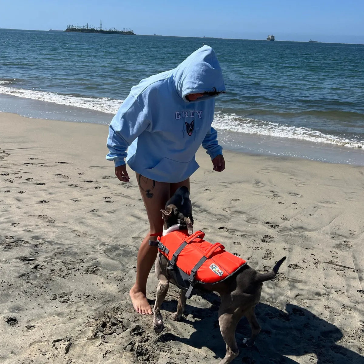 Personalized Varsity Dog Embroidered Sweatshirts - Image 12